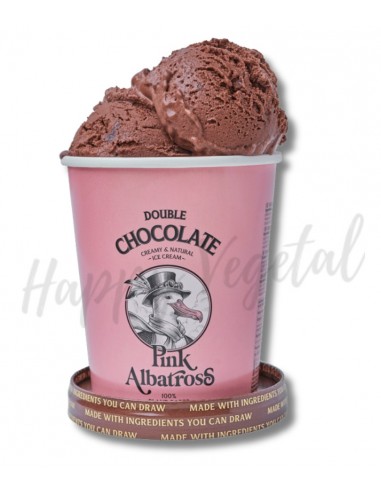 Helado de Chocolate con chips de Chocolate 480ml (Pink Albatross)